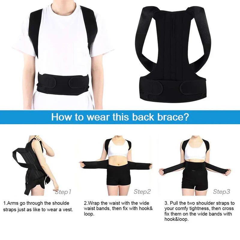 Back belt support