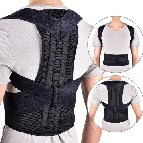 Back belt support